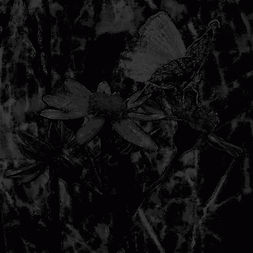 Sheol Blanc : Sortie Nocturne